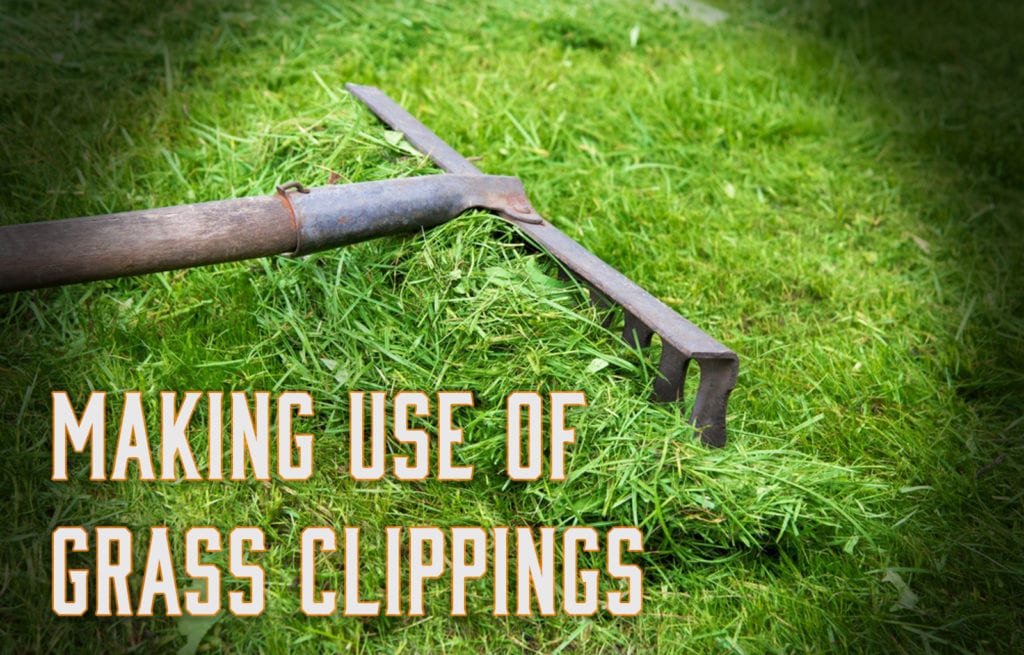 uses for grass clippings